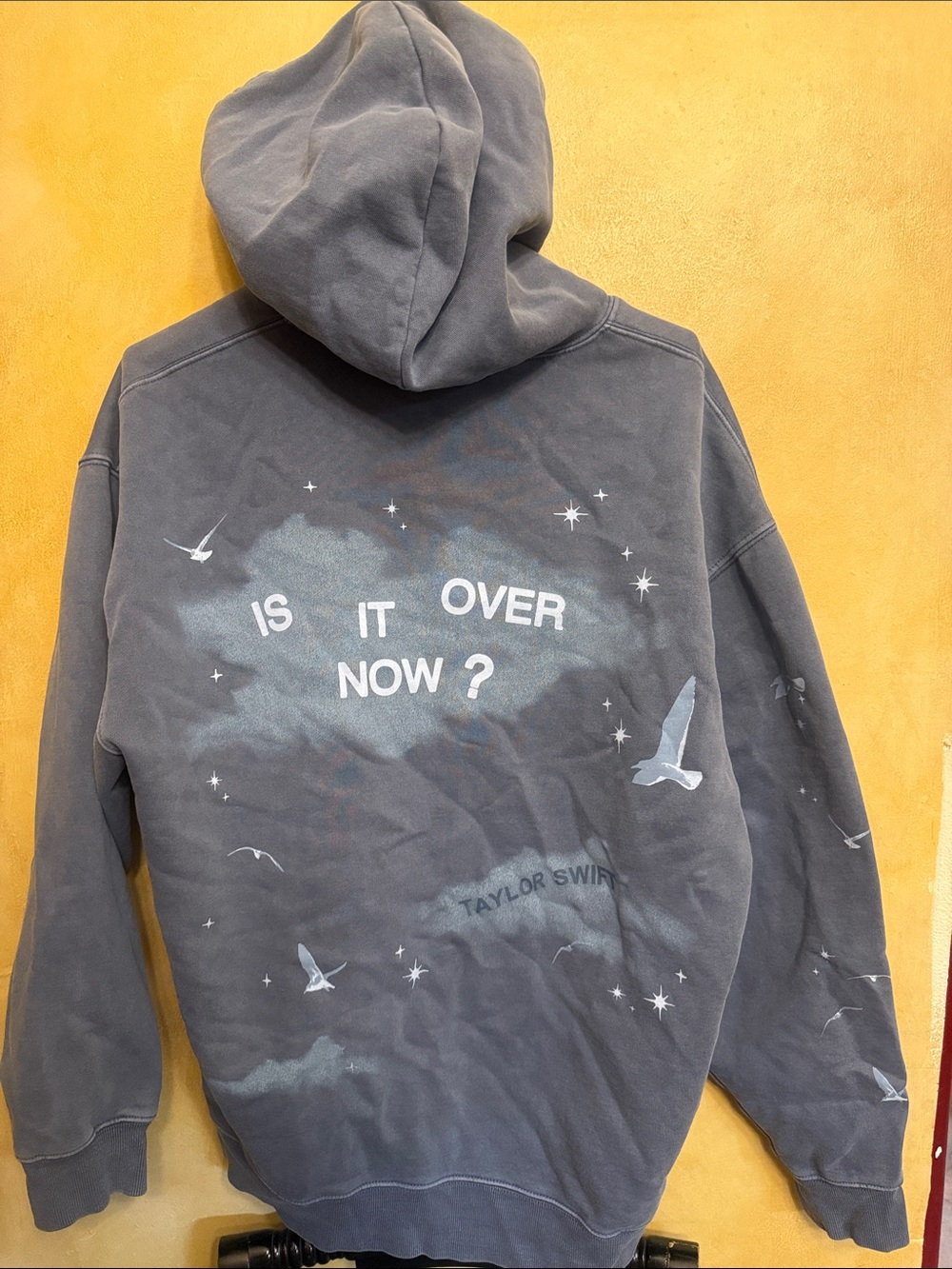 Taylor Swift Gray Cloud & Seagull Pullover Hoodie